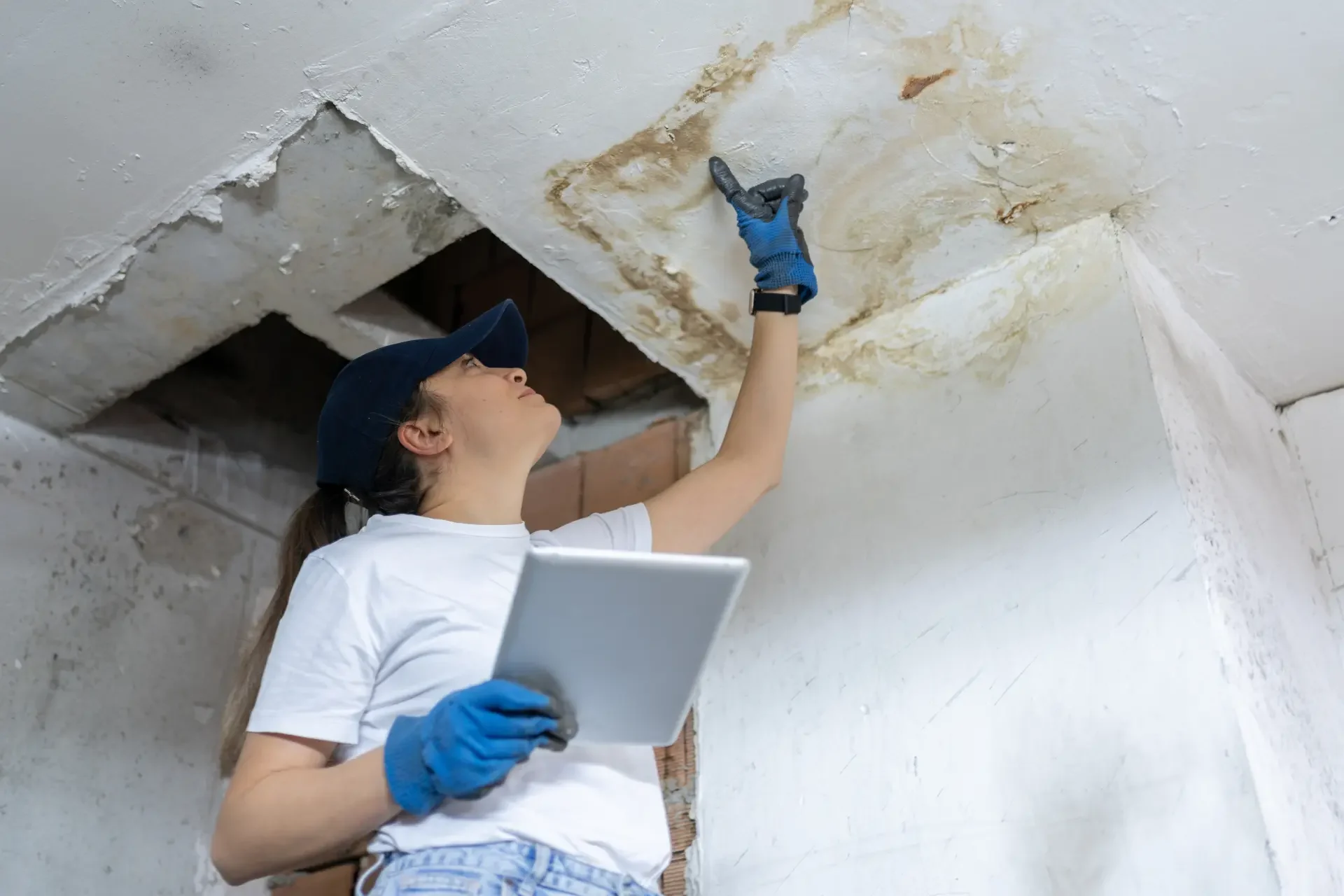 Mold inspection